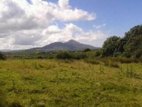 Nephin Lodge Westport Rum bild